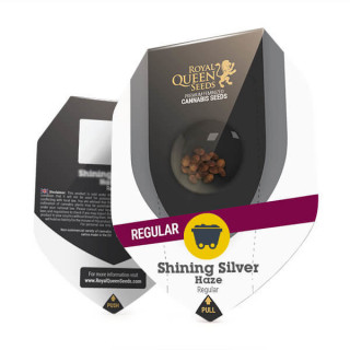 Shining Silver Haze - Régulière - Royal Queen Seeds - Graines de Collection