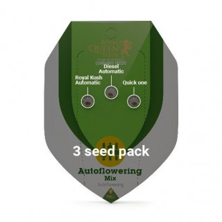 Autoflowering Mix - Royal Queen Seeds - Graines de Collection