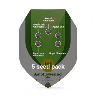 Autoflowering Mix - Royal Queen Seeds - Graines de Collection