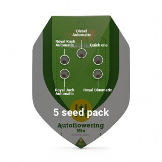 Autoflowering Mix - Royal Queen Seeds - Graines de Collection