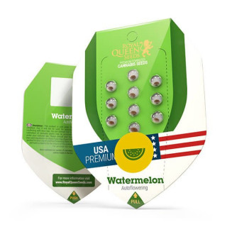 Watermelon - Automatic - Royal Queen Seeds - Graine de Collection