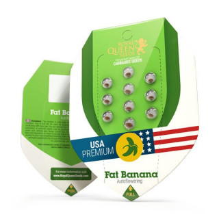 Fat Banana - Automatic - Royal Queen Seeds - Graine de Collection