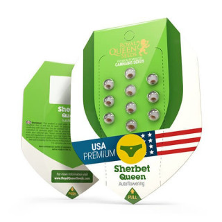 Sherbet Queen - Automatic - Royal Queen Seeds - Graine de Collection