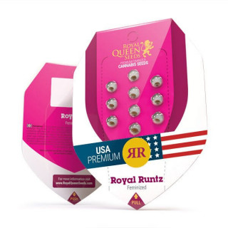 Royal Runtz - Féminisée - Royal Queen Seeds - Graines de Collection
