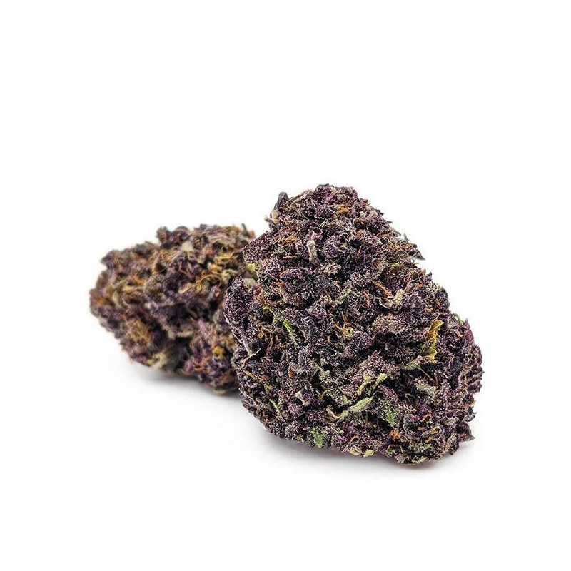 Purple - 3 Gr - Fleurs de CBD