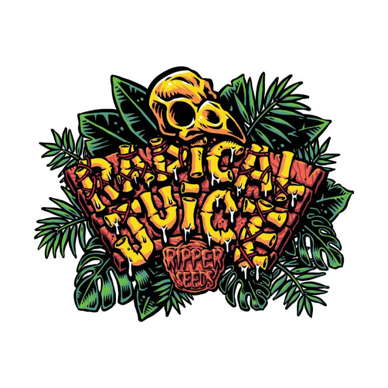 Radical Juice - Féminisée - Ripper Seeds - Graines de collection