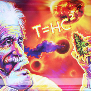 Plateau de roulage Einstein THC