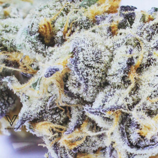 Plateau de roulage en métal Girl scout cookies