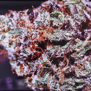 Plateau de roulage en métal Bubba Kush