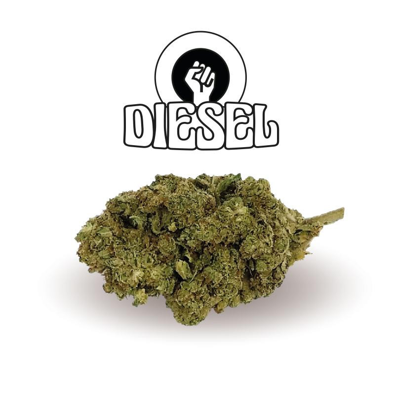 Diesel Old Version Green Evolution Fleurs de CBD