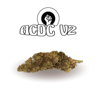 ACDC V2 Old Version Green Evolution Fleurs de CBD