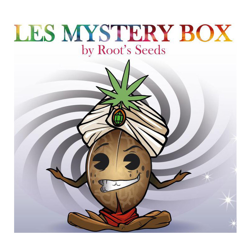 Mystery Box - Root's Seeds Industry