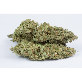 OG Kush - Autofloraison - Dinafem Seeds