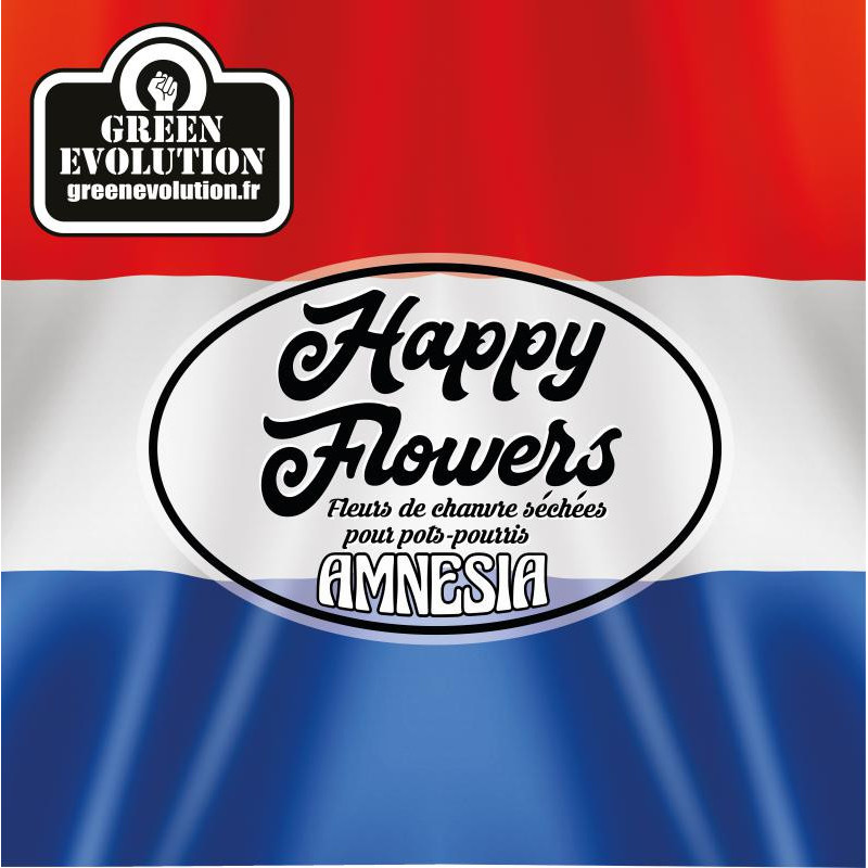 Amnesia - Green Evolution - Fleurs de CBD Amnesia - Green Evolution - Fleurs de CBD