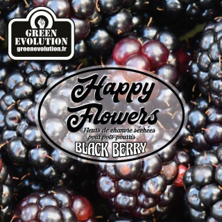 Black Berry - New Version - Green Evolution - Fleurs de CBD