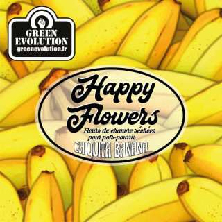 Chiquita Banana - New Version - Green Evolution - Fleurs de CBD