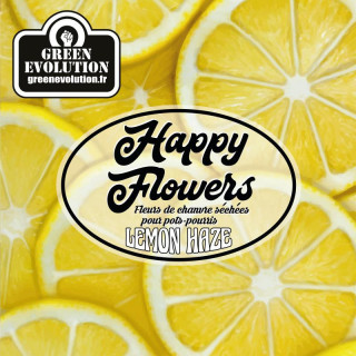 Lemon Haze - Green Evolution - Fleurs de CBD