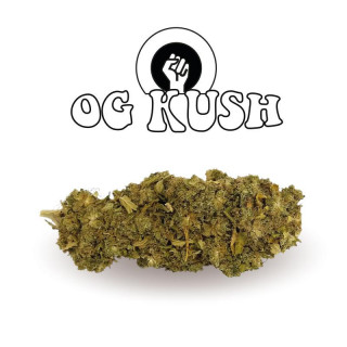 OG Kush - New Version - Green Evolution - Fleurs de CBD