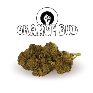 Orange bud - Fleurs de CBD - Happy Flowers