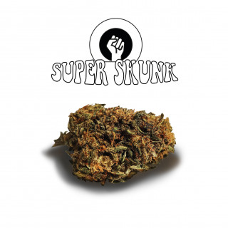 Super skunk - New Version - Green Evolution - Fleurs de CBD