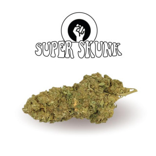Super skunk - New Version - Green Evolution - Fleurs de CBD