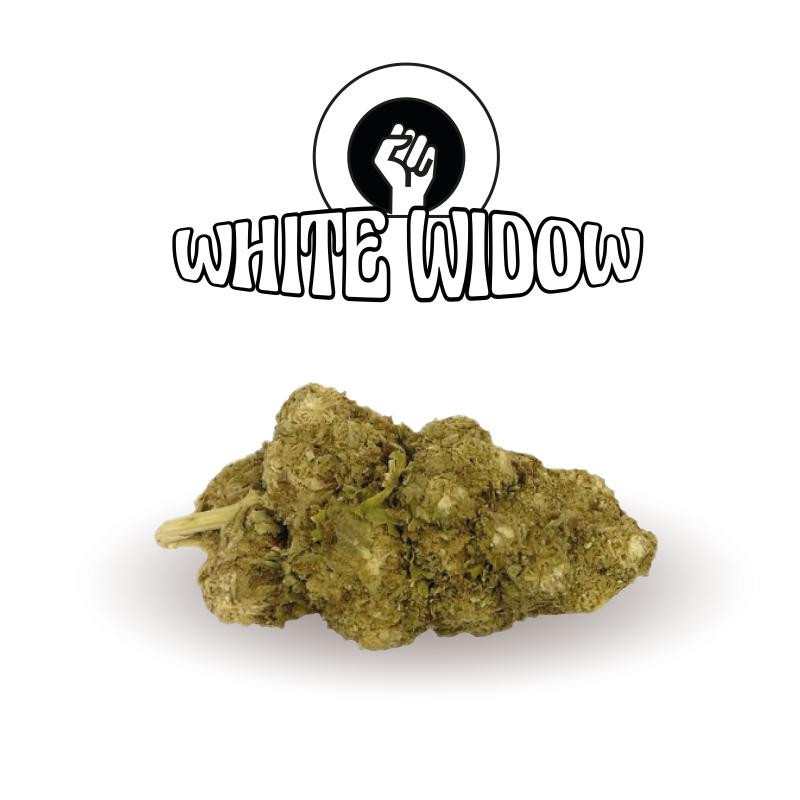 White Widow - Green Evolution - Fleurs de CBD