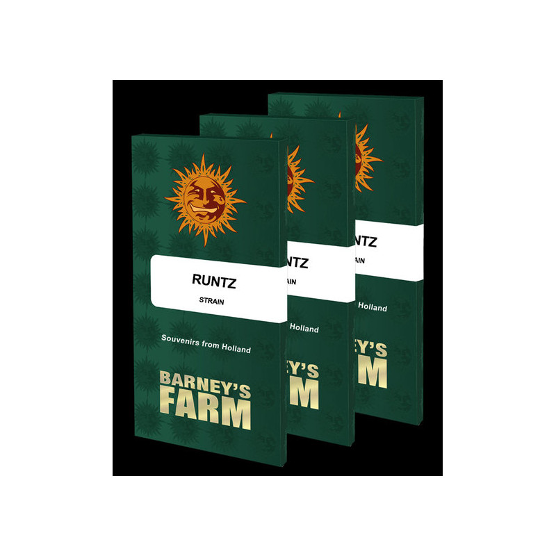 Runtz - Féminisée - Barney's Farm | ROOTS-SEEDS.FR