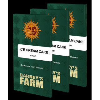Ice Cream Cake - Féminisée - Barney's Farm|ROOTS - SEEDS .FR