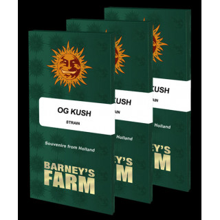 OG Kush - Féminisée - Barney's Farm | ROOTS-SEEDS.FR