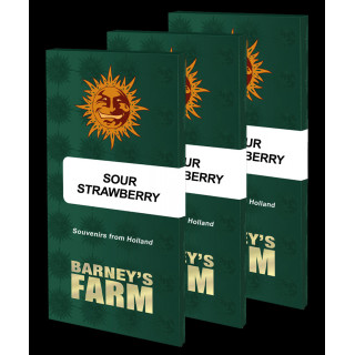 Sour Strawberry - Barney's Farm