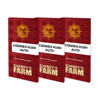 Cookies Kush - Autofloraison - Barney's Farm | ROOTS-SEEDS.FR