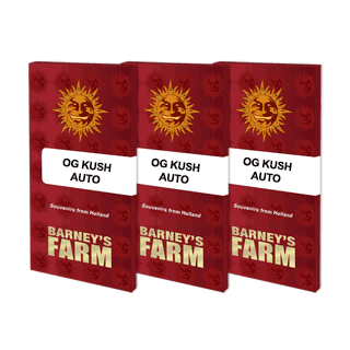 OG Kush - Autofloraison - Barney's Farm | ROOTS-SEEDS.FR