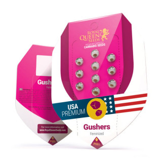 Gushers - Féminisée - Royal Queen Seeds | ROOTS-SEEDS.FR