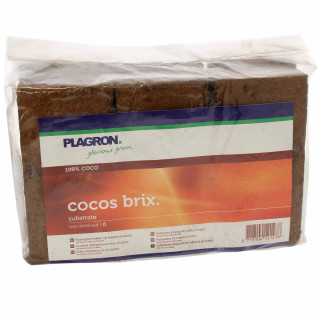 Coco Brix Compressées - Pack 6x9 - Plagron