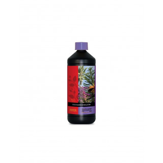 Bloom Coco Stimulator - 1 litre - B'Cuzz