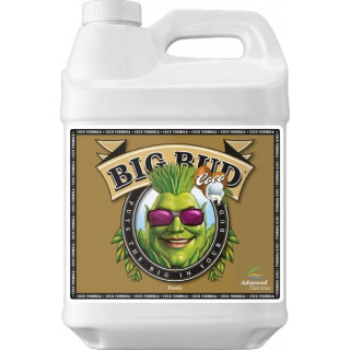Big bud Coco - Stimulateur de floraison - Advanced Nutrients