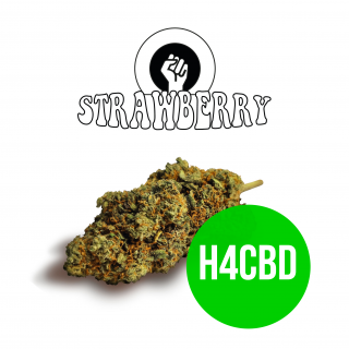 Strawberry - Fleurs H4CBD - Green Evolution