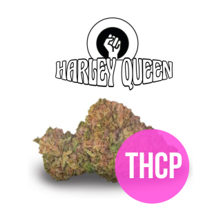Harley Queen - Fleurs THCP 10% - Green Evolution