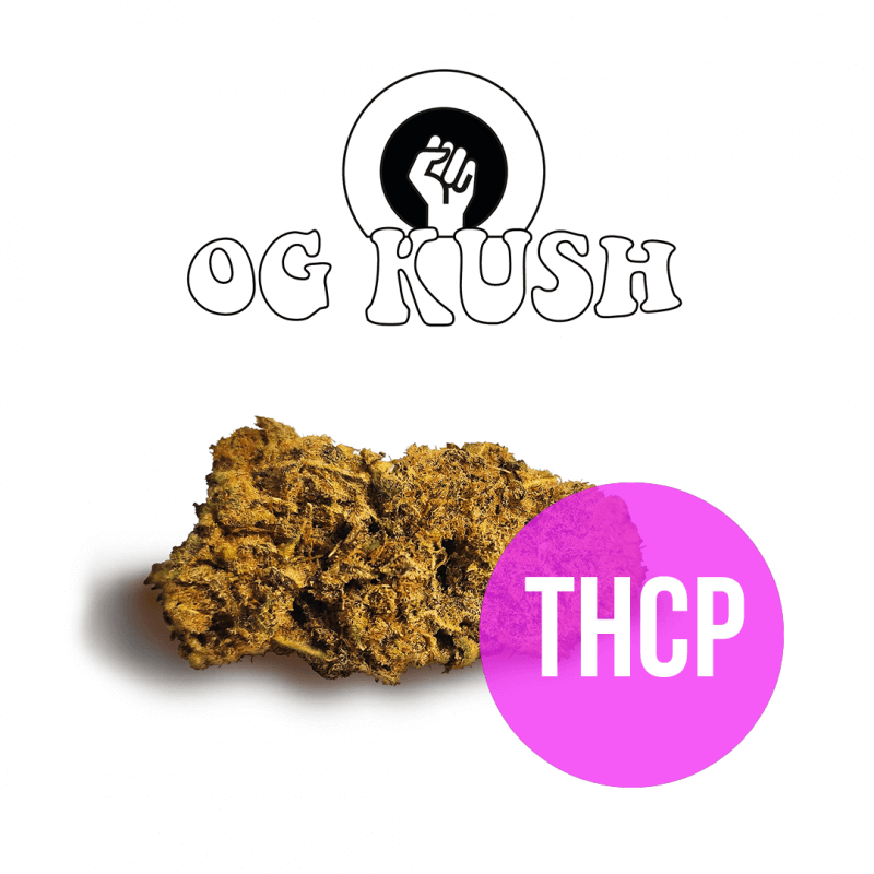 OG Kush - Fleurs THCP - Green Evolution