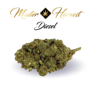 Diesel - Fleurs de CBD Premium - Master Harvest