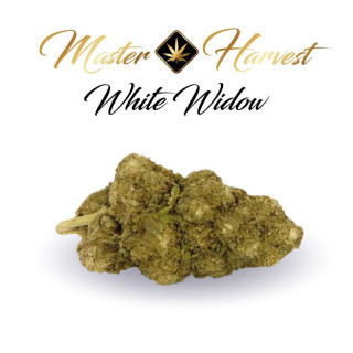 White Widow - Fleurs de CBD Premium - Master Harvest  - ROOTS.FR