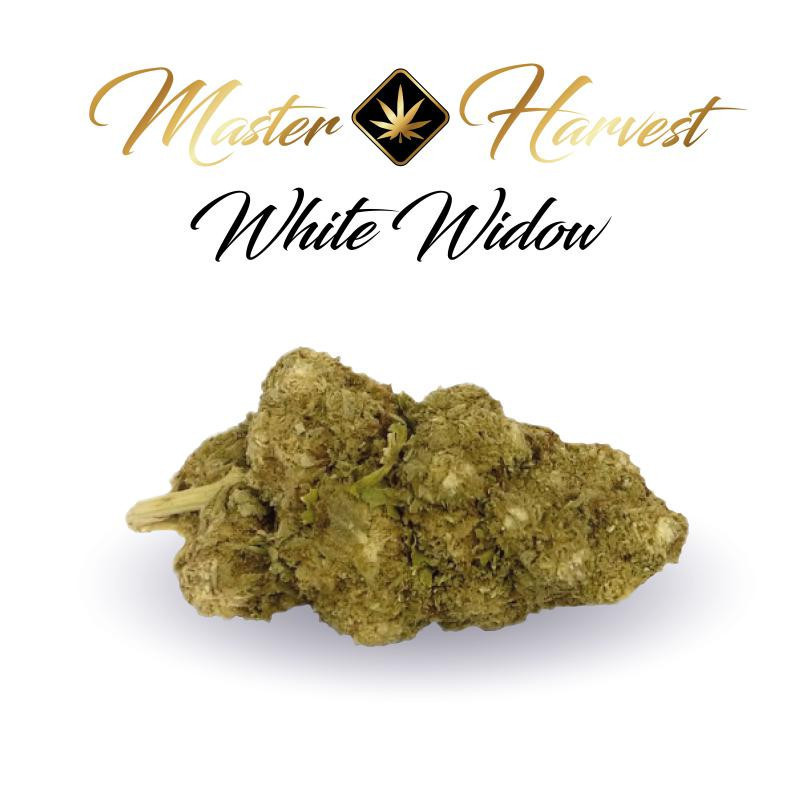 White Widow - Fleurs de CBD Premium - Master Harvest  - ROOTS.FR