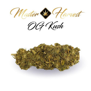 OG Kush - Fleurs de CBD Premium - Master Harvest