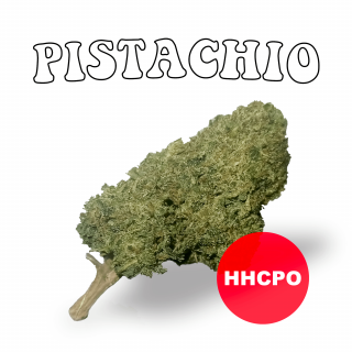 Pistachio - Fleurs HHCPO 10% - Happy Flowers