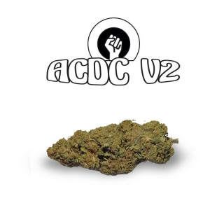 ACDC V2 - Fleurs de CBD - Happy Flowers