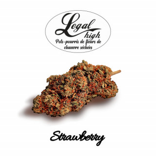 Strawberry - Legal High Fleurs de CBD