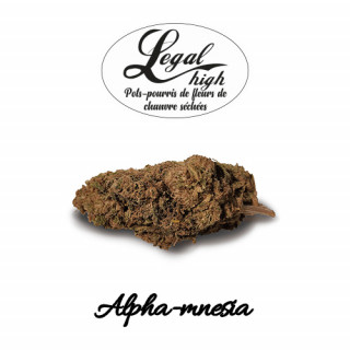 Alpha-mnesia - Fleur - Legal High Fleurs de CBD