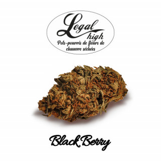 Black Berry - Etiquette - Legal High Fleurs de CBD