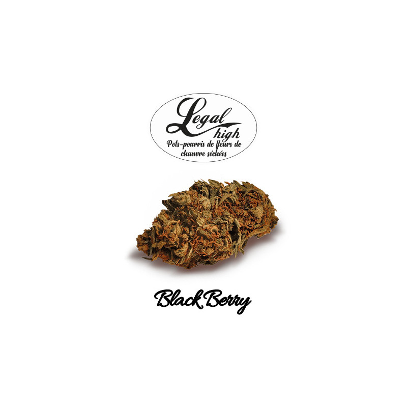 Black Berry - Etiquette - Legal High Fleurs de CBD