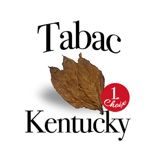 Kentucky 1er choix - Feuille de tabac - Green Evolution